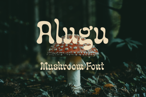 Alugu Font - Featured Image