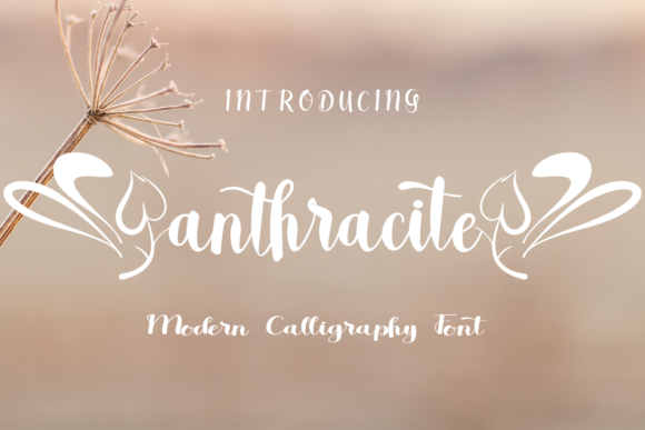 Anthracite Font - Featured Image