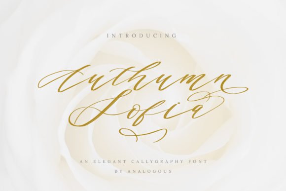 Authumn Sofia Font - Featured Image