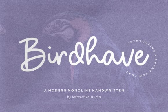 Birdhave Font - Featured Image
