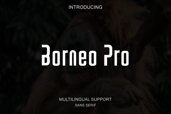 Borneo Pro Font - Featured Image