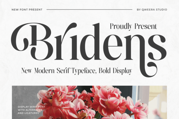 Bridens Font - Featured Image
