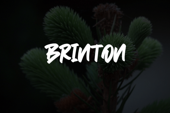 Brinton Font - Featured Image