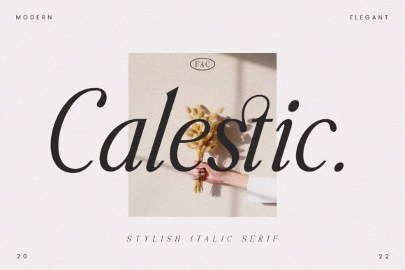 Calestic Font - Featured Image