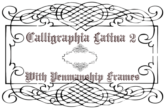 Calligraphia Latina 2 Font - Featured Image