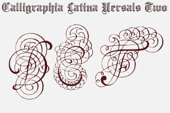 Calligraphia Latina Versals Two Font - Featured Image