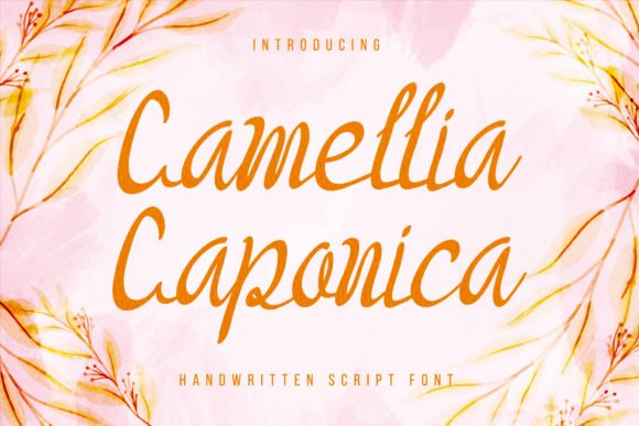 Camellia Caponica Font - Featured Image