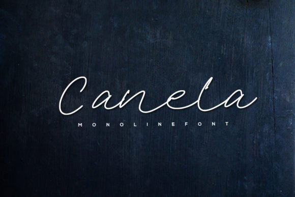 Canela Font - Featured Image