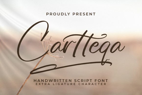 Cartteqa Font - Featured Image