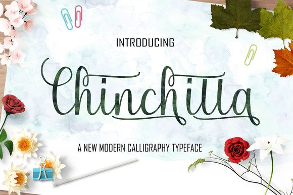 Chinchilla Font - Featured Image