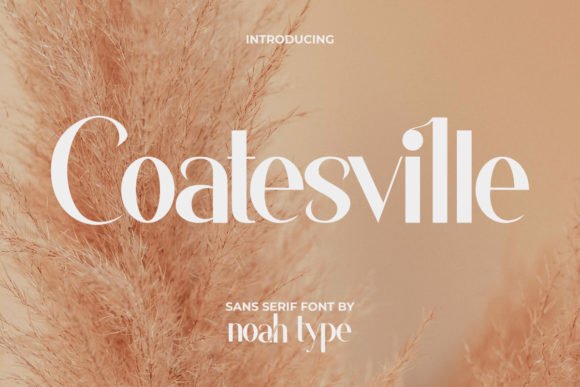 Coatesville Font - Featured Image