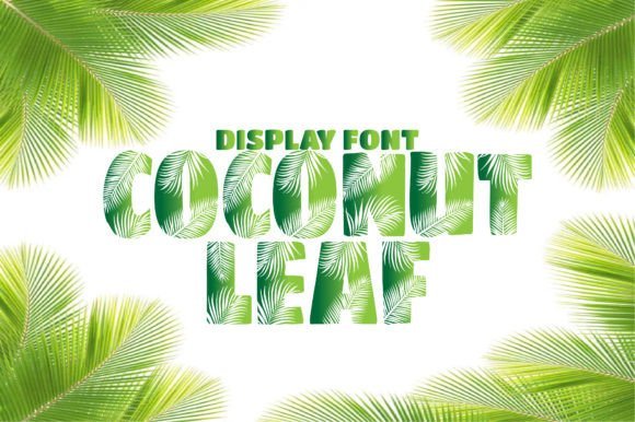 Coconut Leaf Font - Featured Image