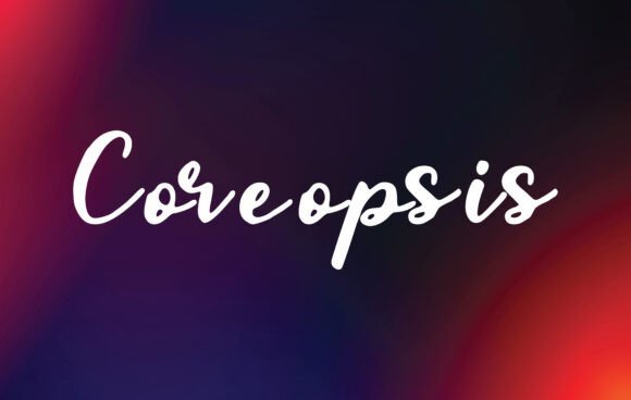 Coreopsis Font - Featured Image