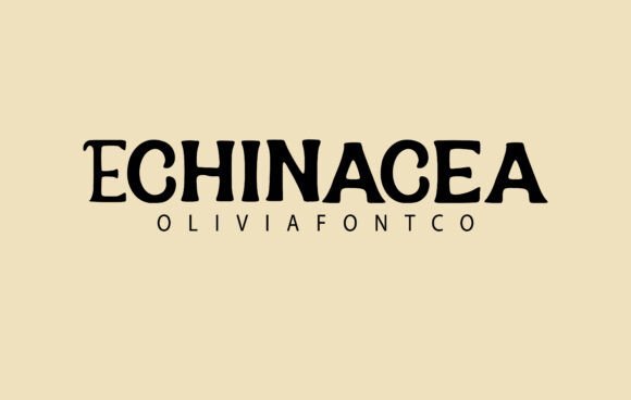 Echinacea Font - Featured Image