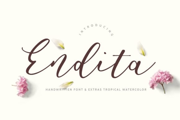 Endita Font - Featured Image