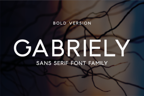 Gabriely Bold Font - Featured Image