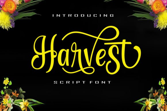 Harvest Font - Featured Image
