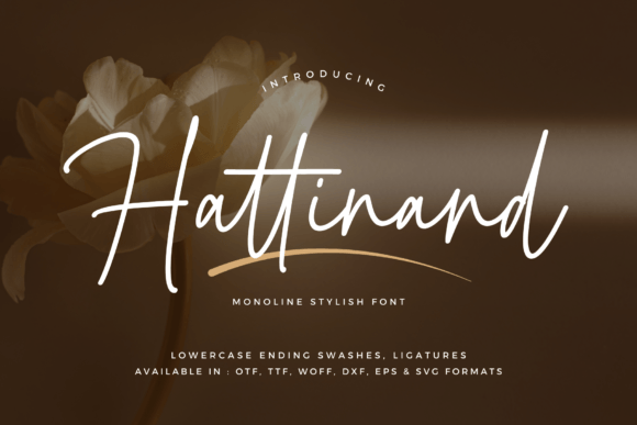 Hattinand Font - Featured Image