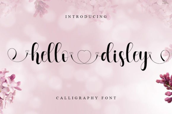 Hello Disley Font - Featured Image