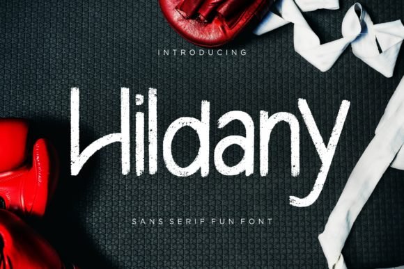 Hildany Font - Featured Image