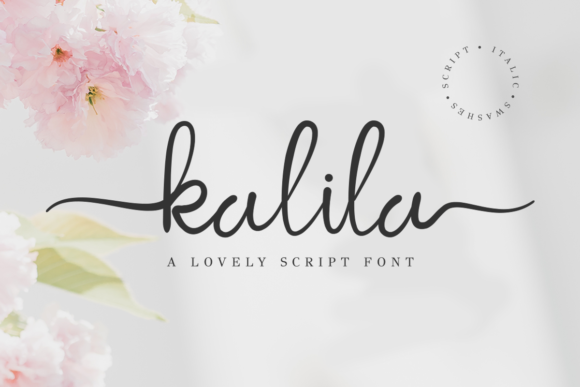 Kalila Script Font - Featured Image