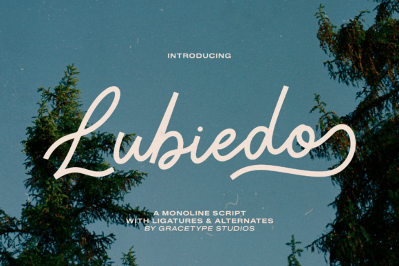Lubiedo Font - Featured Image