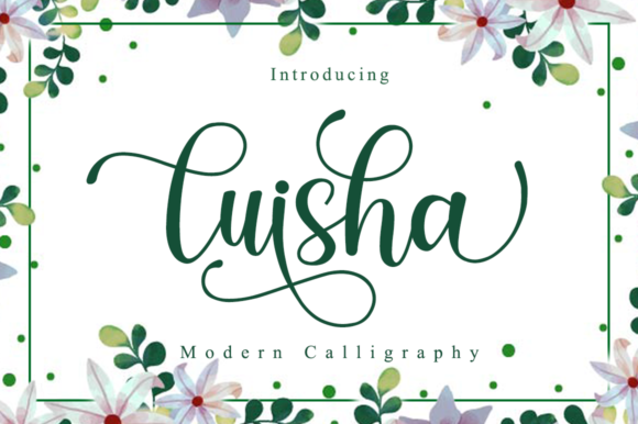 Luisha Font - Featured Image