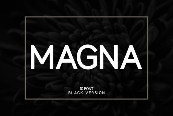 Magna Black Font - Featured Image