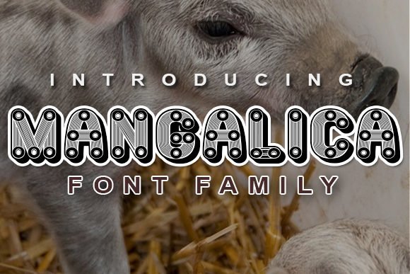 Mangalica Font - Featured Image