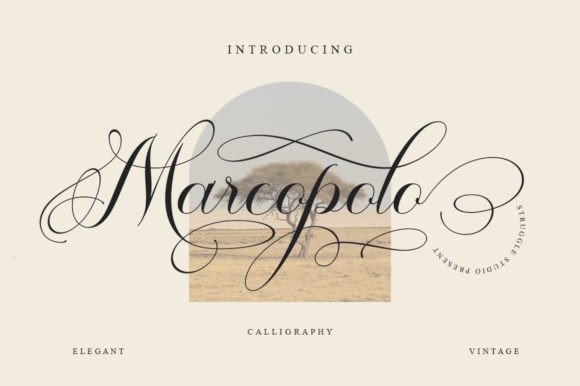 Marcopolo Font - Featured Image