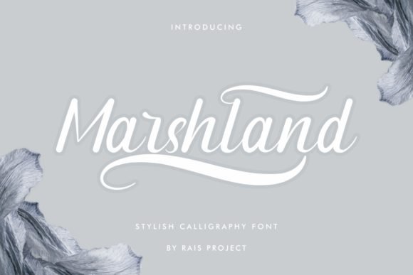 Marshland Font - Featured Image