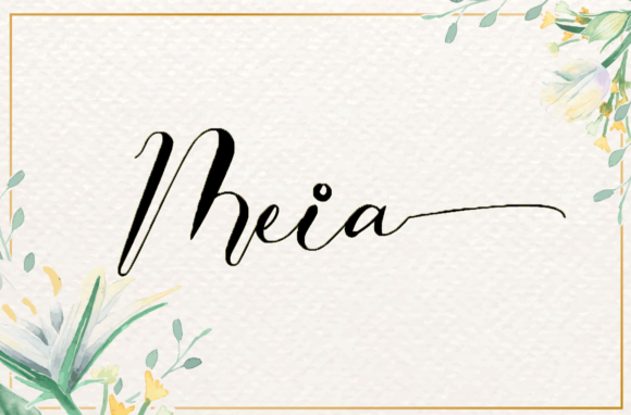Meia Font - Featured Image