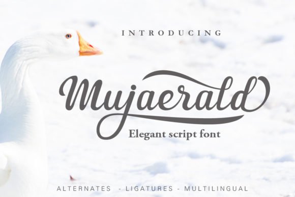 Mujaerald Font - Featured Image