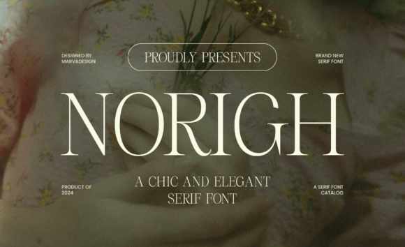Norigh Font - Featured Image