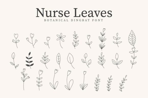 Nurse Leaves Font - Featured Image