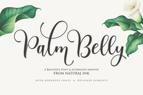 Palm Belly Font - Featured Image