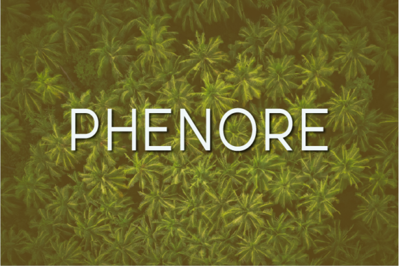 Phenore Font - Featured Image