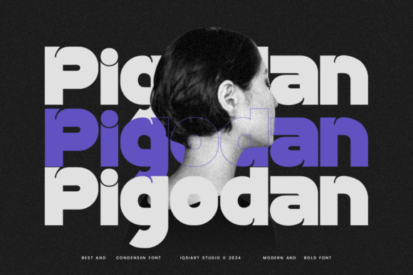 Pigodan Font - Featured Image