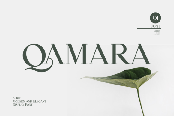Qamara Font - Featured Image