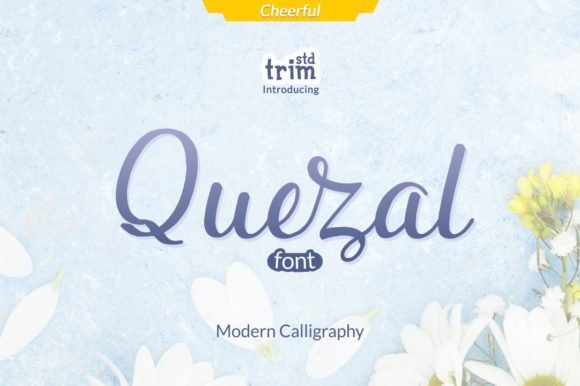 Quezal Font - Featured Image