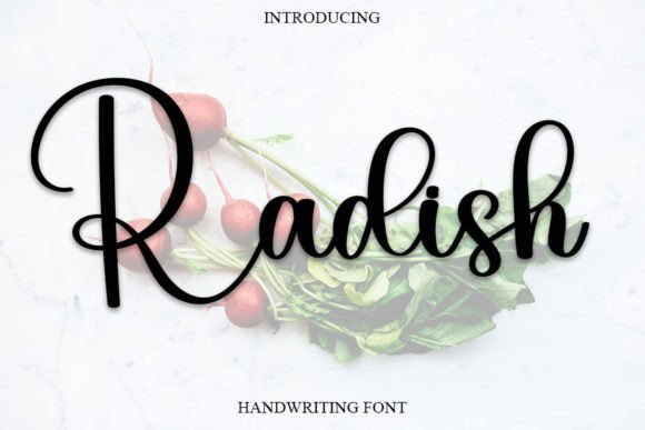 Radish Font - Featured Image