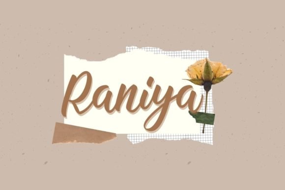 Raniya Font - Featured Image