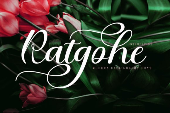 Ratgohe Font - Featured Image