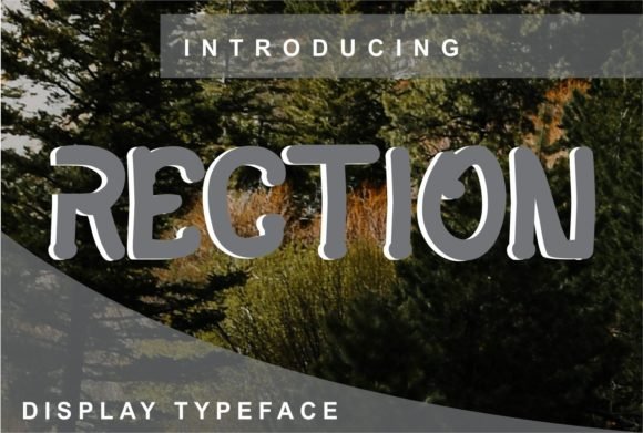 Rection Font - Featured Image