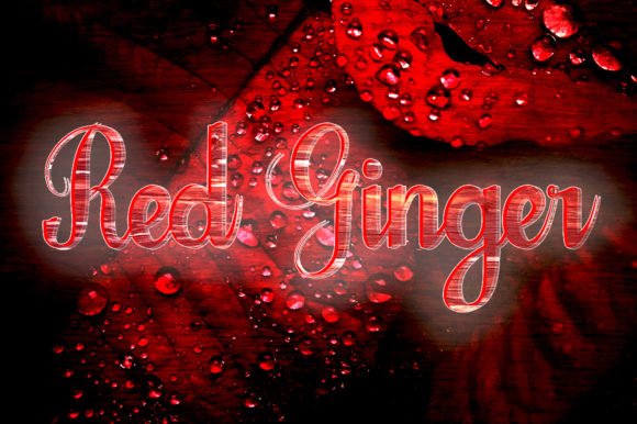 Red Ginger Font - Featured Image