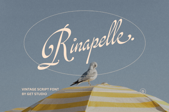 Rinapelle Script Font - Featured Image