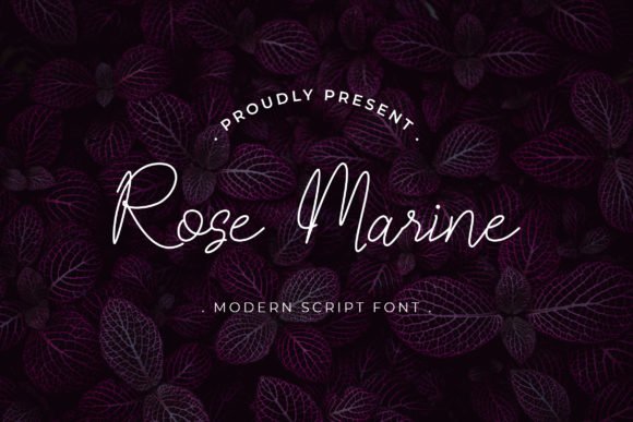 Rose Marine Font - Featured Image