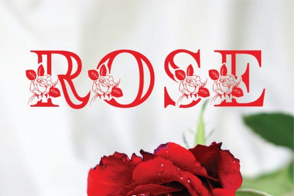 Rosera Monogram Font - Featured Image