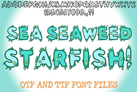 Sea Seaweed Starfish Font - Featured Image