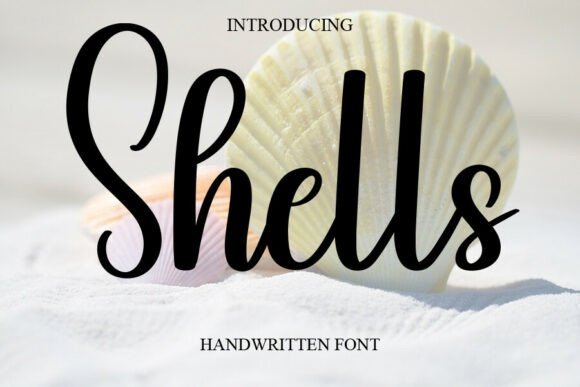 Shells Font - Featured Image